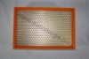 AUTOMEGA 3012906207M0A Air Filter